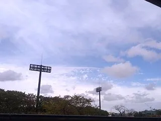 雷無月、21日目