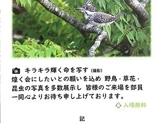写真展のご案内