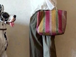 60代ファッション。黄色のミュールできれ…