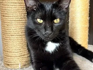 悩みどころは…！？