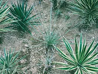 強風と雨の日は屋内作業中心