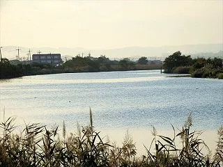 散歩が主、の巻