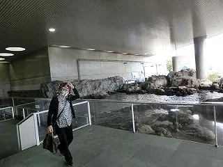 ペンギンの食事時間。