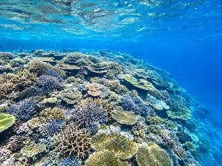 これからの季節こそ注目！冬の宮古島の海