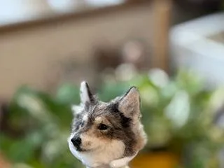今日はこんな感じに仕上がっています☺️