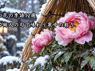 冬の花の季語12選｜有名俳人の句で味わう…