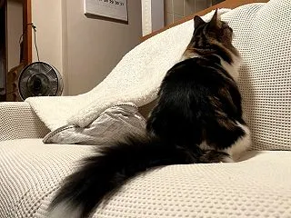 一人飯の日。