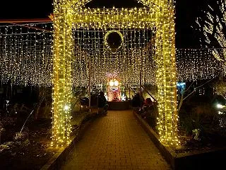 森林公園のイルミネーションへ！冬の夜を彩…