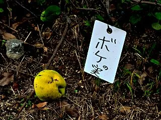 尼崎散歩 ボケ