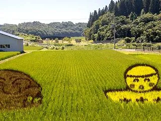 縄文小ヶ田駅・田んぼアート