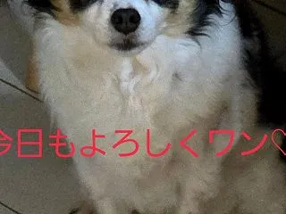 朝起きて…ゾッとした(゜ロ゜;