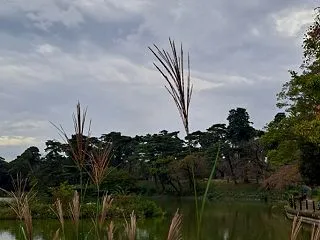 思い込みの枠を外すために