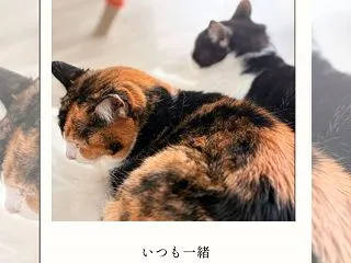 いつも一緒