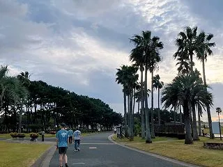 手賀沼ハーフ4日前。適正ペースを探る5k…