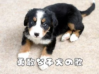 勇敢な子犬の歌｜小さなワンコが教えてくれ…