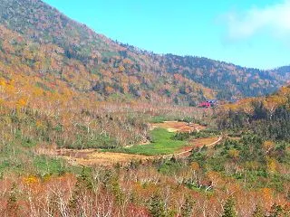 長野県／栂池（つがいけ）自然園☆③栂池自…