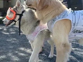 カミュとレディちゃん💓💓お久しぶりです。
