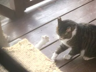 ドタバタ(^▽^;)