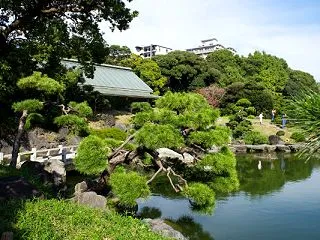 清澄庭園 202610 5