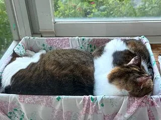 31℃！、都営地下鉄