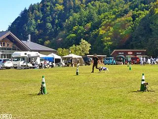 【白馬ワンワン運動会（2026秋） Vo…