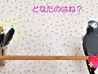誰のものか確認しようとしたら、いきなりか…