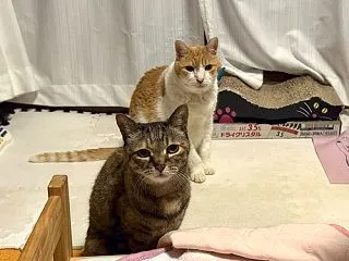 お時間です