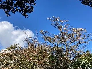 季節の逆戻り／次のセレッソ観戦計画／お昼…