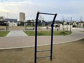 健康ために早朝散歩＆懸垂？