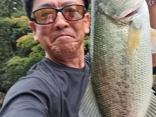 10/21(水)の状況