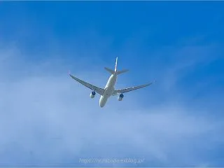 着陸体勢