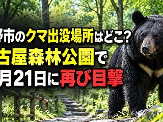佐野市のクマ出没場所はどこ？根古屋森林公…