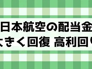 日本航空(JAL)の優待は割引券で高配当…