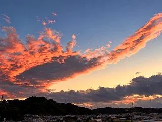 上を向いて