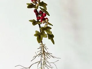 立体刺繍の根付きのフサスグリ