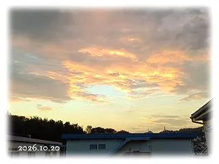 もう一年経ってしまったのね⏰