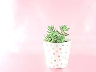 不満はどこから来るのでしょう