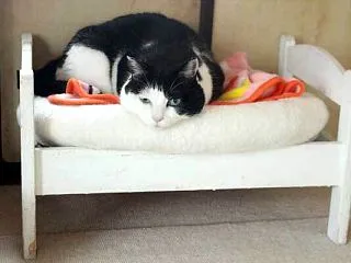 狭くともご自由に