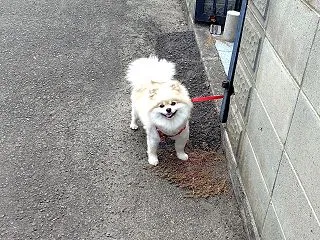 粘る人が良いのかどうか・・・