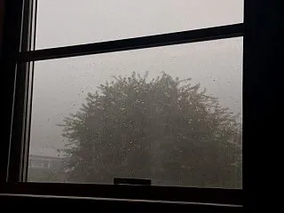 すんごい風！！