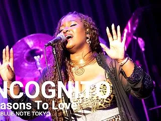 INCOGNITO - Reasons …