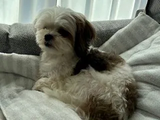 食後