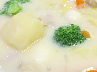 クリームシチュー