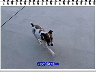 まだまだ日中は暑いのに！
