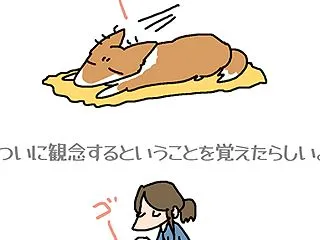 観念・10月20日のちょび太／【犬マンガ…