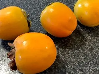今秋も混ざってた シブ柿 ングググ 〆※…