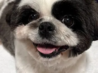 めちゃめちゃ可愛いぃ♪♪そうちゃん