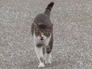 居住まいだけで、心が和む東～ズ
