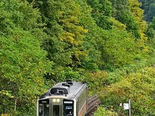夏の東恵橋