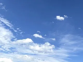 ちゃんと紅葉しますか？